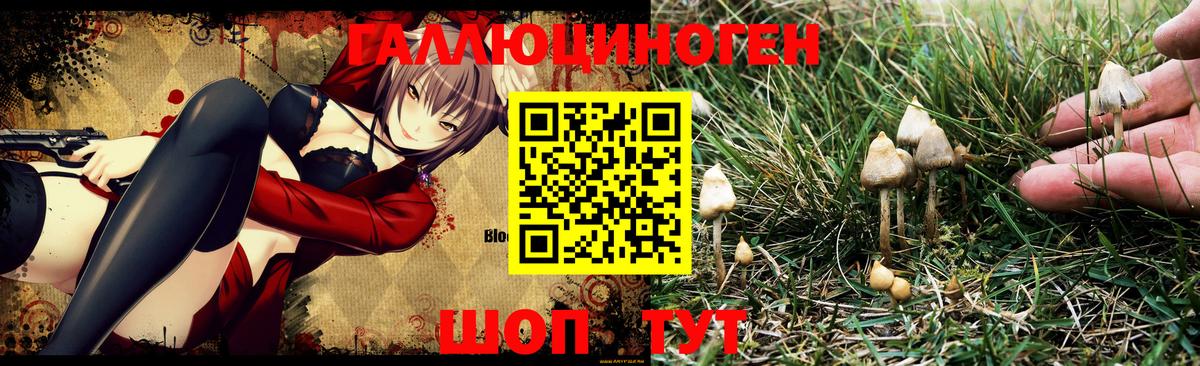 Псилоцибиновые грибы ЛСД Каменка