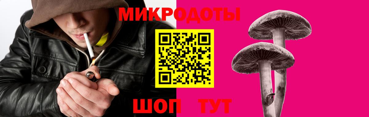 Каменка  Галлюциногенные грибы Psilocybine cubensis  Галлюциногенные грибы Psilocybe  Вход с VPN 